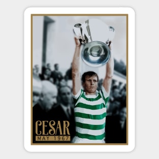 Cesar - Lisbon Lion Sticker